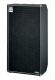 Ampeg Classic SVT810E