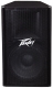 Peavey PV 115
