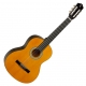 Tanglewood  DBT44 Classic Pack 4/4