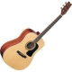 Washburn D10 S b-stock number 1