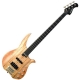 Washburn Classic Series CB14SPK