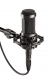 Audio Technica  AT2035