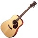 Cort Earth 100tf natural satin