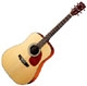 Cort Earth 70NS natural satin