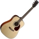 Cort Earth 70 ENS natural satin
