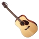 Cort Earth 100LHTF gaucher 