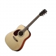 Cort Earth 70 gaucher natural satin