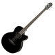 Aria  FEB-STD Cutaway Electro black