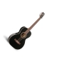 Art & Lutherie  Ami Cedar Black black