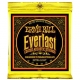 Ernie Ball Everlast 2160