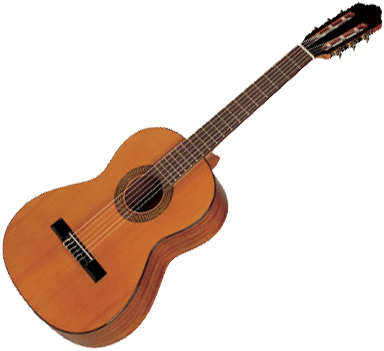 Esteve guitar